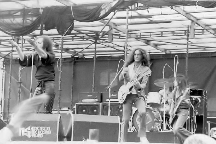 Come on, come closer! Don't let that fence stop you!